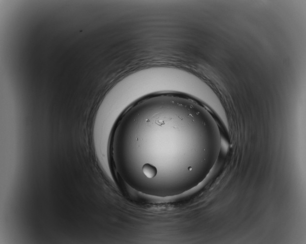 X0000097850415200803201542