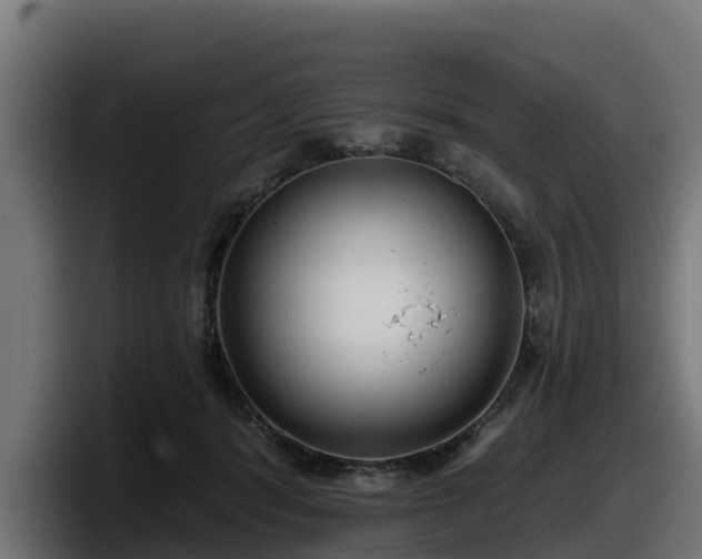 X0000097850416200803201542