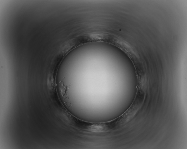 X0000097850418200803201542