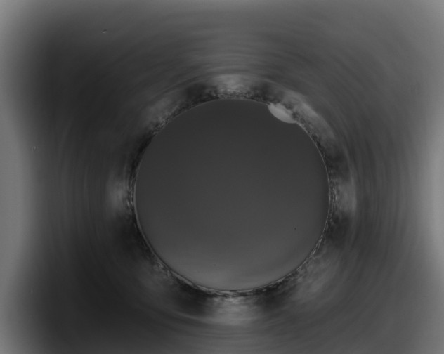 X0000097850419200803201542