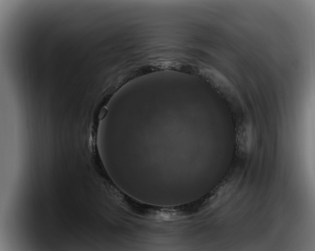 X0000097850420200803201542