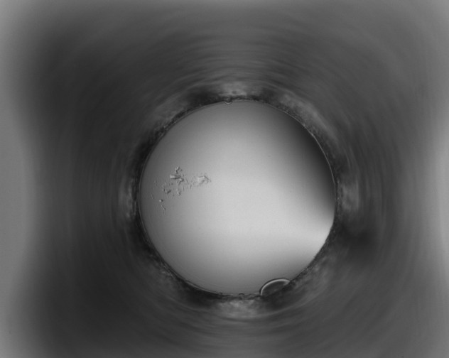 X0000097850422200803201542