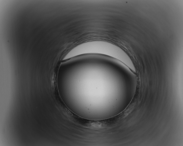 X0000097850423200803201542