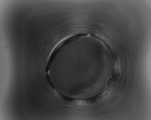 X0000097850424200803201542