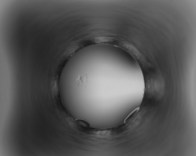 X0000097850426200803201542