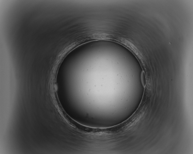 X0000097850433200803201541