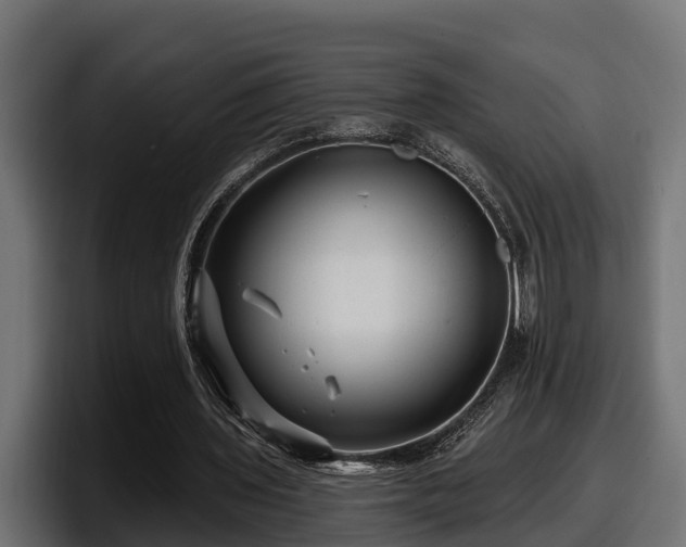 X0000097850435200803201541