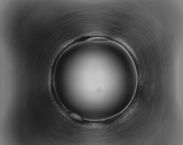 X0000097850437200803201541