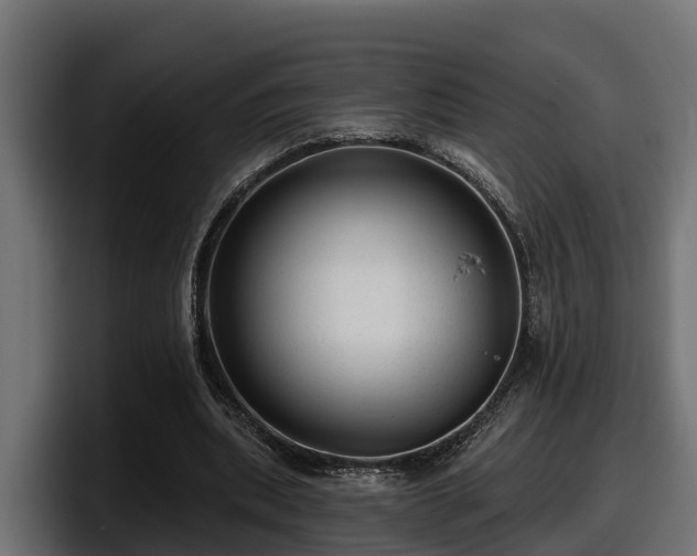 X0000097850439200803201541