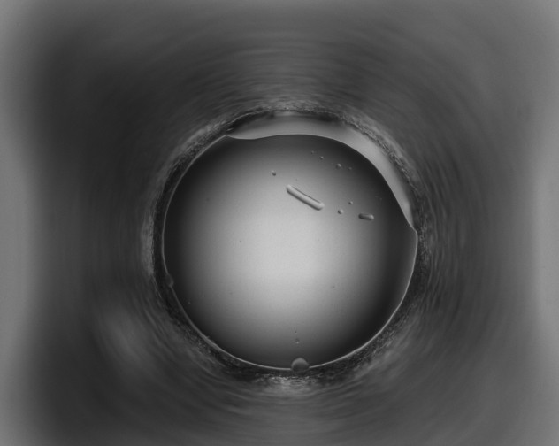 X0000097850442200803201541