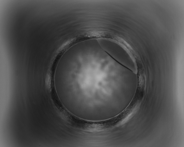 X0000097850444200803201541