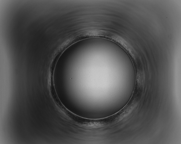 X0000097850445200803201541