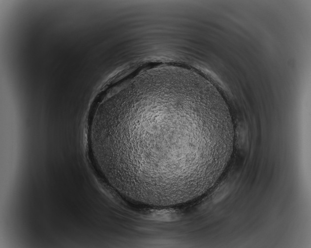 X0000097850446200803201541