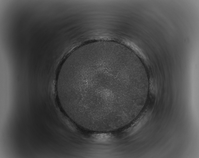 X0000097850449200803201541