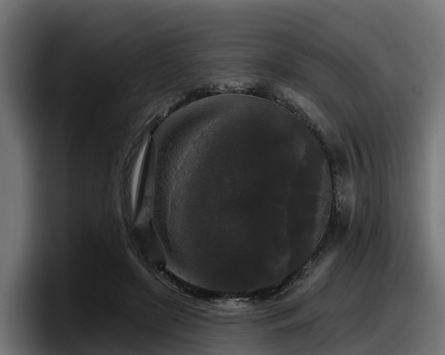 X0000097850451200803201541