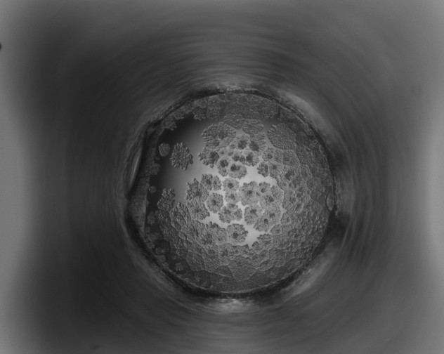 X0000097850453200803201541