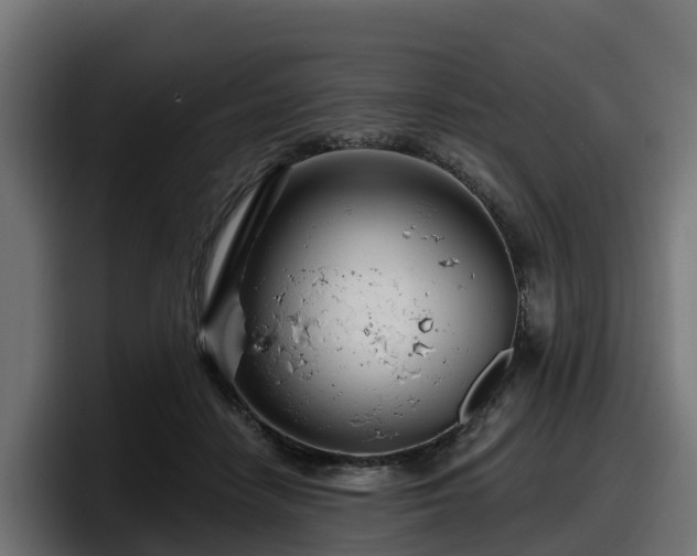 X0000097850458200803201541