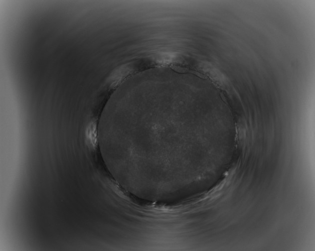 X0000097850479200803201541