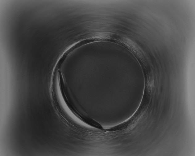 X0000097850484200803201541