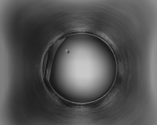 X0000097850486200803201541