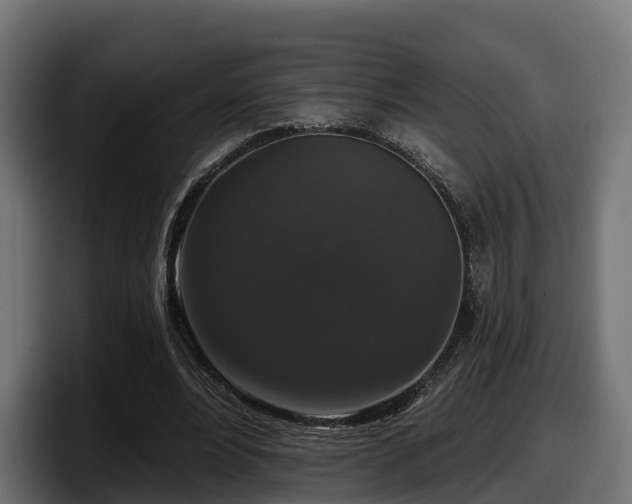 X0000097850488200803201541