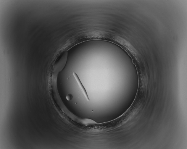 X0000097850489200803201541