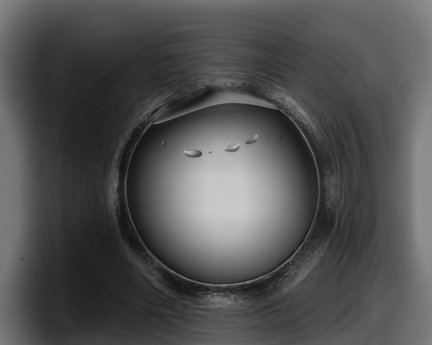 X0000097850490200803201541