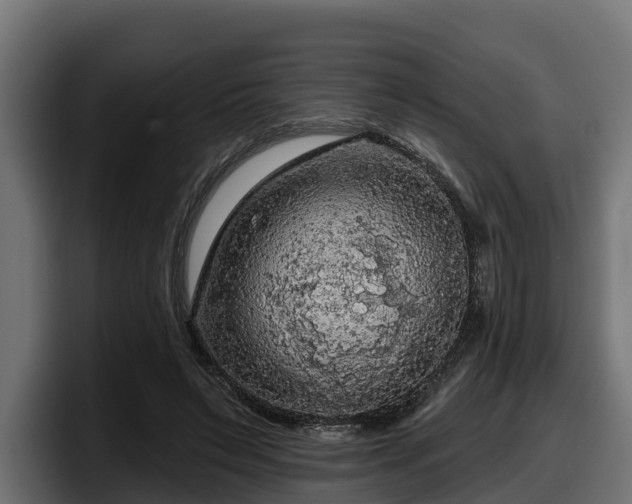 X0000097850495200803201541