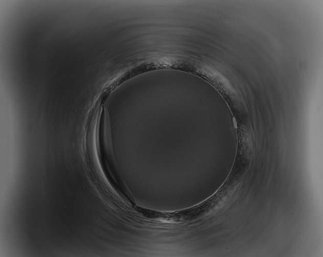 X0000097850496200803201541