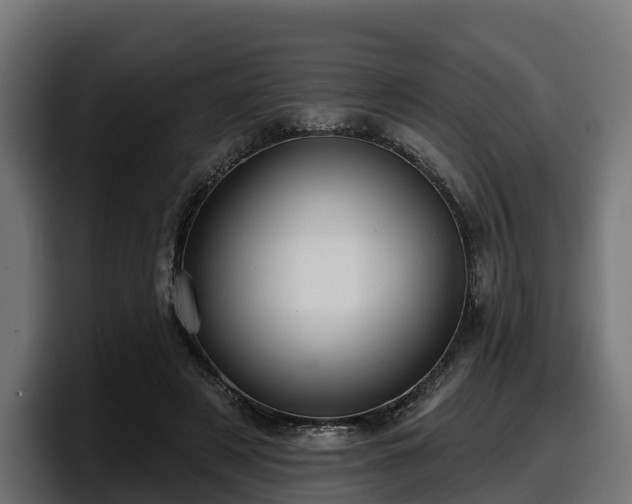 X0000097850497200803201541