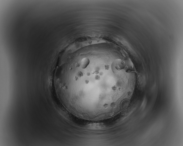 X0000097850499200803201541