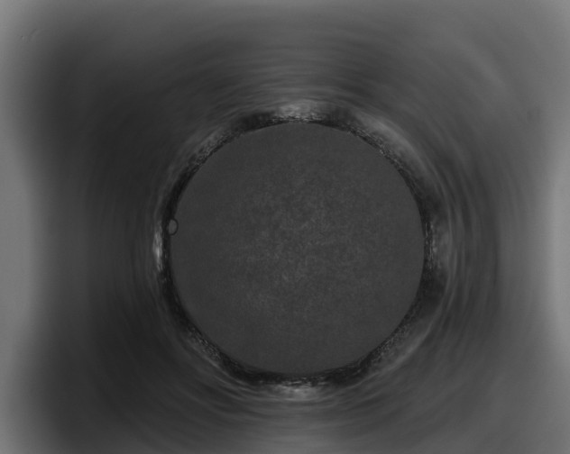 X0000097850502200803201541