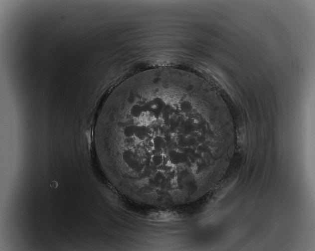 X0000097850503200803201541