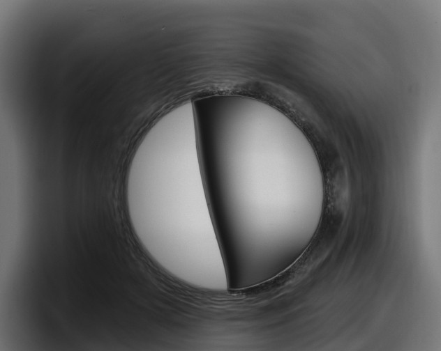 X0000097850505200803201541