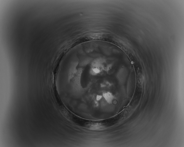 X0000097850507200803201540