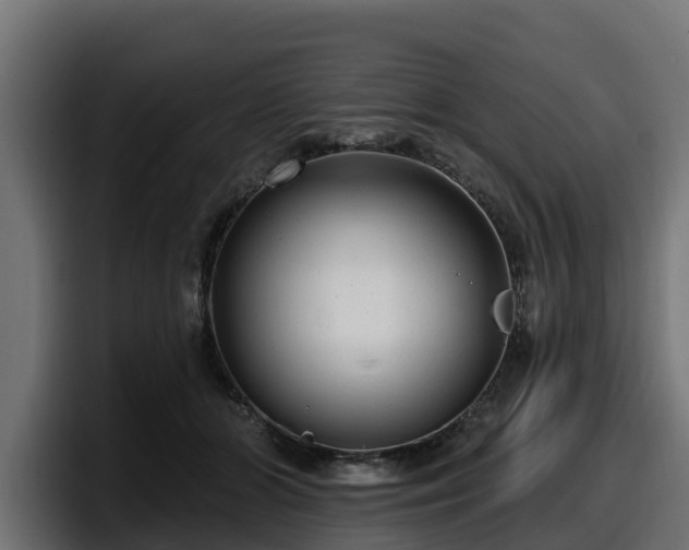 X0000097850510200803201540