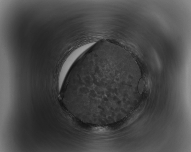 X0000097850511200803201540