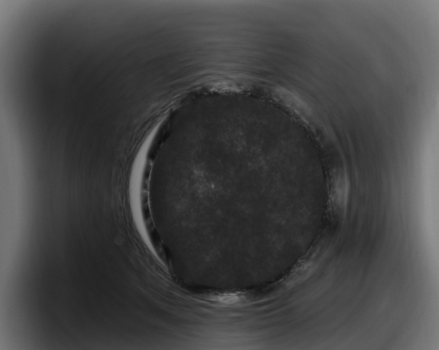 X0000097850513200803201540