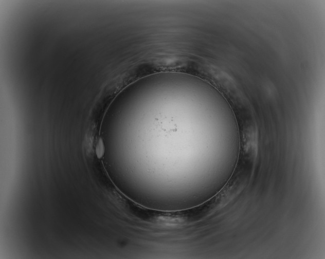 X0000097850515200803201540