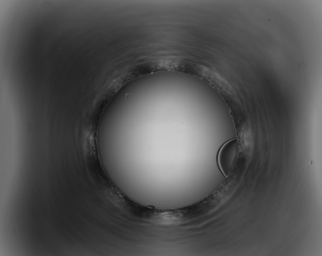 X0000097850522200803201540