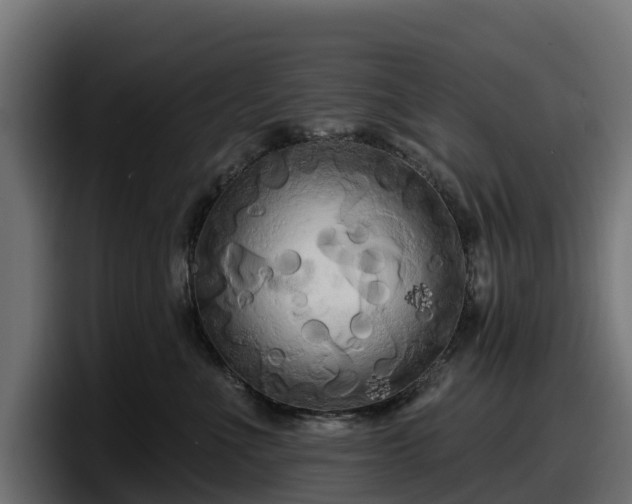 X0000097850523200803201540