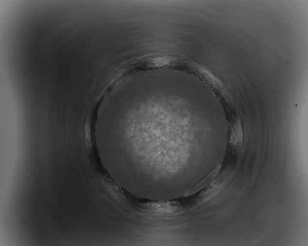 X0000097850524200803201540