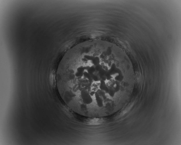 X0000097850527200803201540