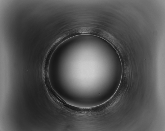 X0000097850530200803201540