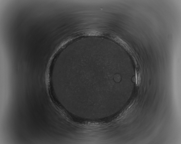 X0000097850531200803201540