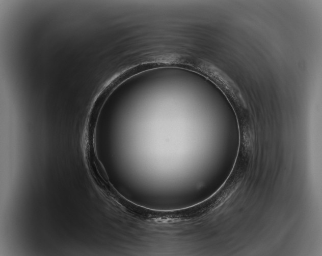 X0000097850532200803201540