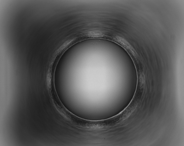 X0000097850533200803201540