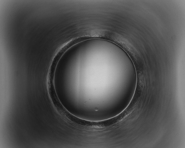 X0000097850536200803201540