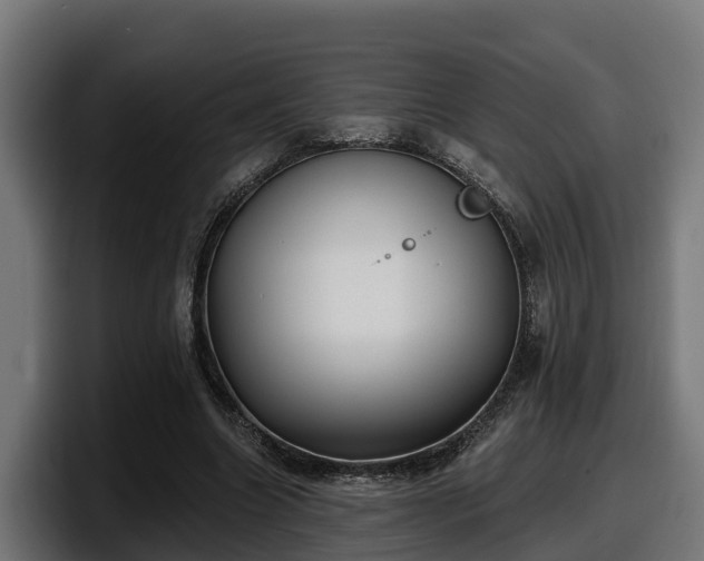 X0000097850538200803201540