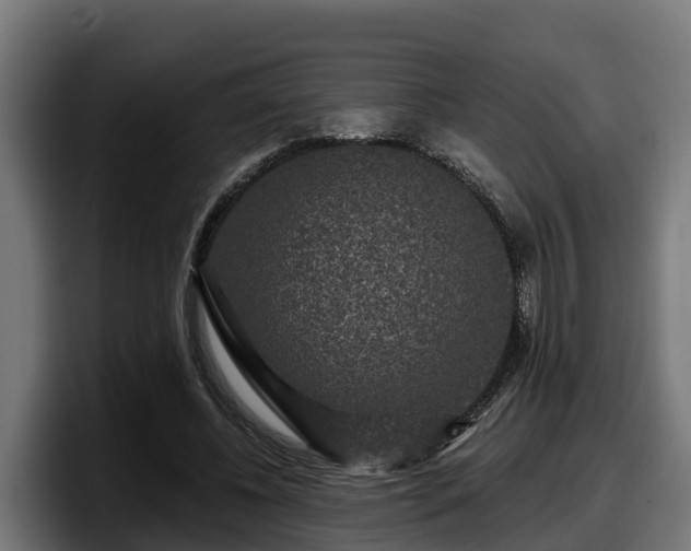 X0000097850540200803201540